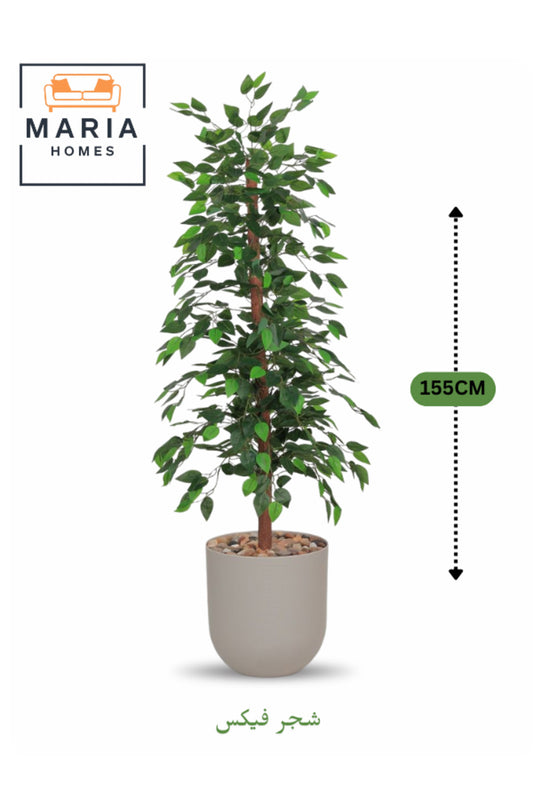 Artificial Ficus Tree 155 cm Ð Decorative Green Plant with gray Plastic Pot for home & office