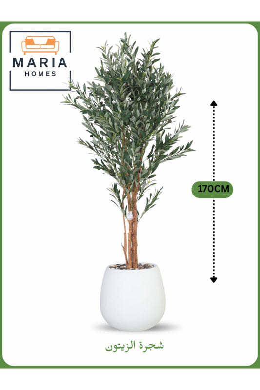 Artificial Olive Tree 170 cm Ð Decorative Indoor Tree with White Pot
