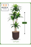 Artificial Corn Leaf Tree 180 cm Ð Indoor Faux Plant with Brown Pot
