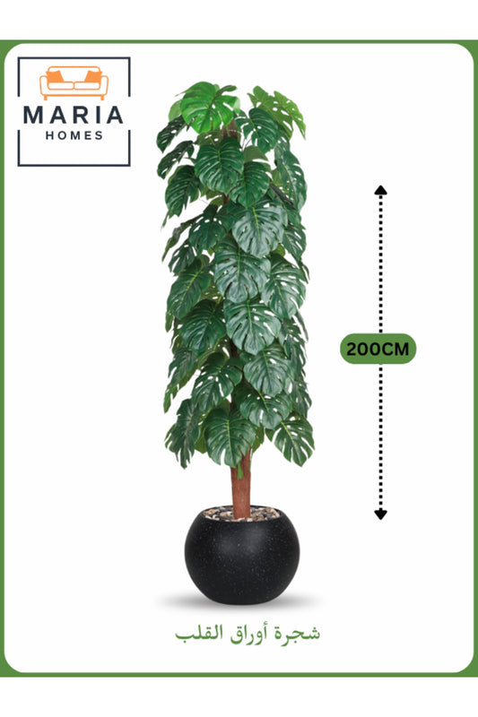 Artificial Monstera Tree 200 cm Ð Tall Faux Plant with Black Pot