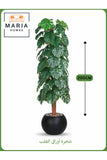 Artificial Monstera Tree 200 cm Ð Tall Faux Plant with Black Pot