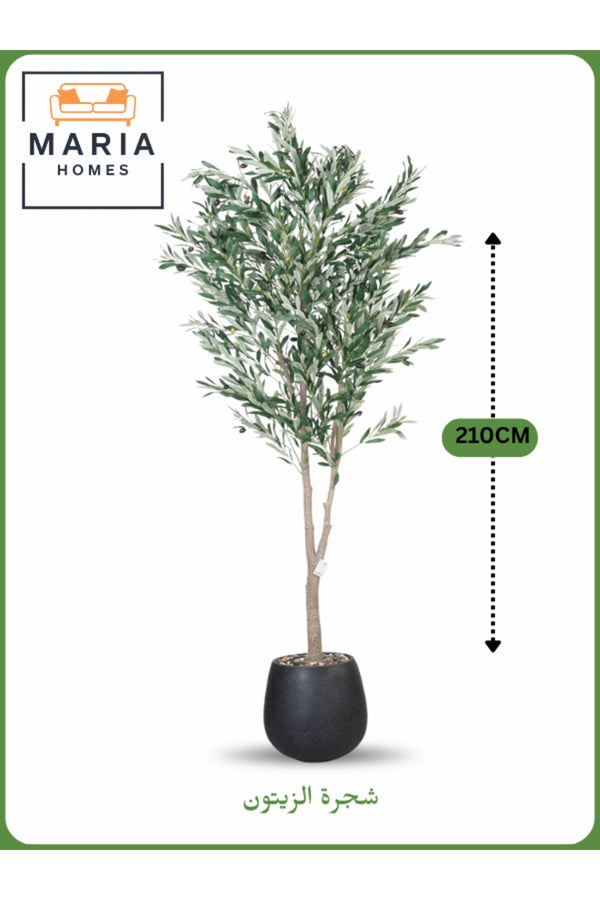 Artificial Olive Tree 210 cm Ð Tall Decorative Indoor Tree with Black Pot