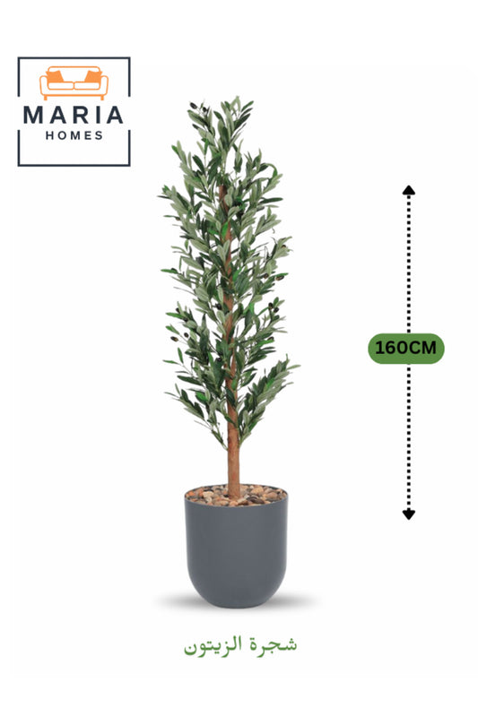 Artificial Olive Tree 160 cm Ð Tall Decorative Plant with Dark Gray Plastic Pot for home & office