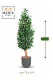 Artificial Lemon Leaf Tree 200 cm Ð Green Foliage in Grey Plastic Pot for home decor