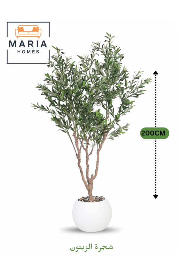 Artificial Olive Tree 200 cm Indoor Decorative Plant with White Plastic Pot for Home & Office decor