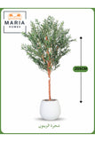 Artificial Olive Tree 205 cm Ð Tall Decorative Indoor Tree with White Pot