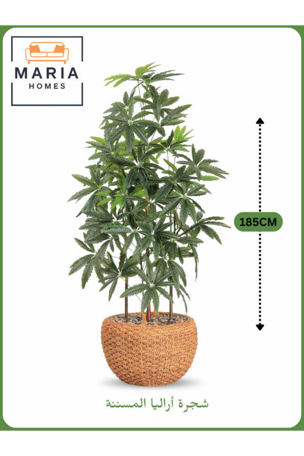 Artificial Aralia Tree 185cm with 5 Branches in Yellow Pot Ð Stylish Indoor Decoration