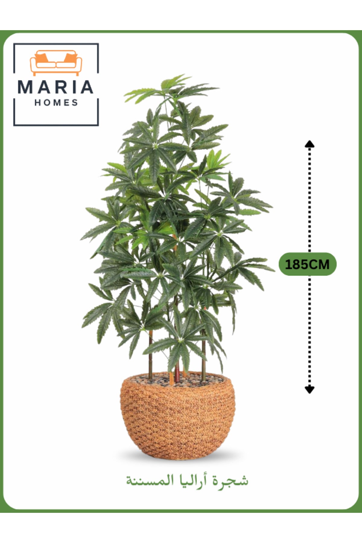 Artificial Aralia Tree 185cm with 5 Branches in Yellow Pot Ð Stylish Indoor Decoration