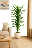 Artificial Corn Leaf Tree 185 cm Ð Tall Indoor Plant with White Plastic Pot