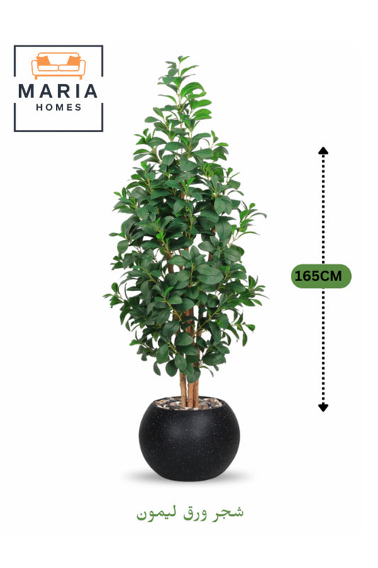 Artificial Lemon Leaf Tree 165 cm Ð Green Foliage in Round Black Plastic Pot for home decor