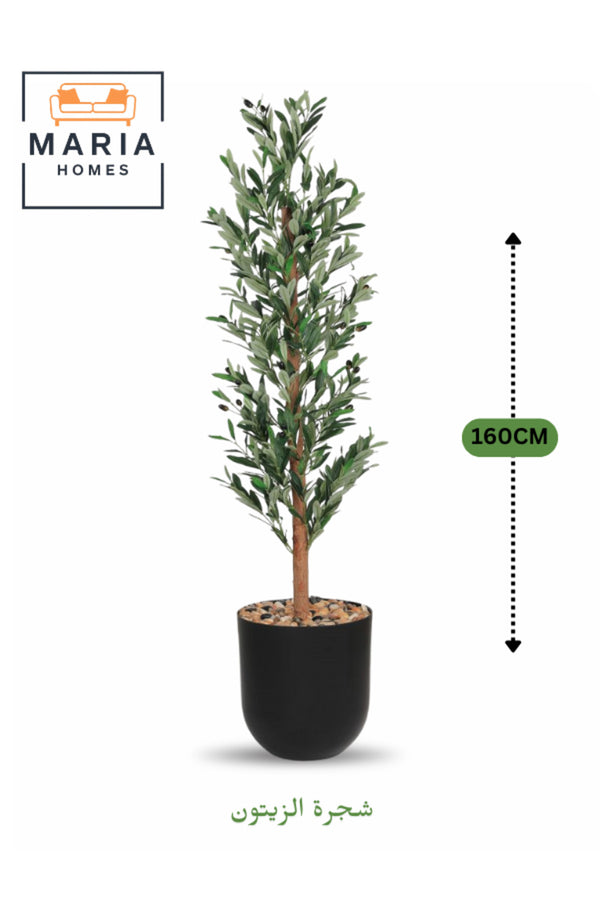 Artificial Olive Tree 160 cm Ð Tall Decorative Plant with Black Plastic Pot for home & office