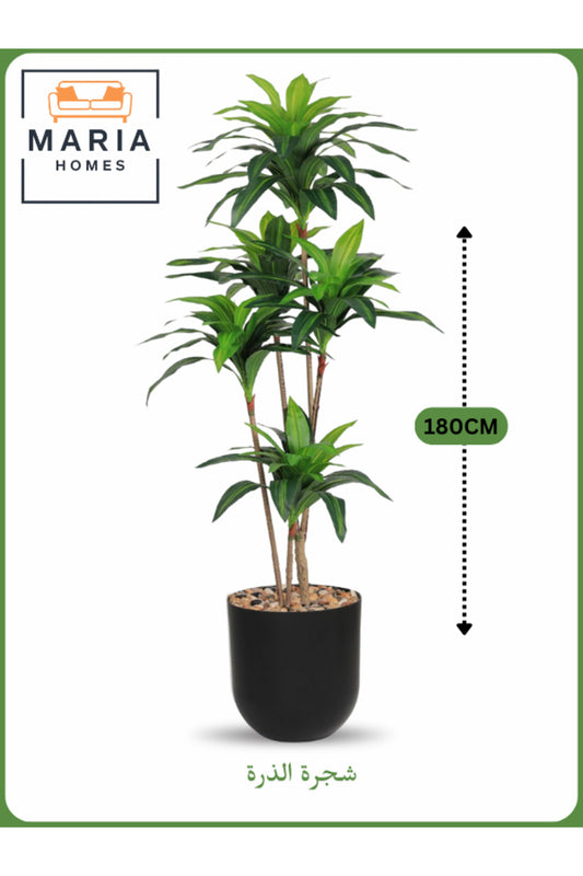 Artificial Corn Leaf Tree 180 cm Ð Indoor Faux Plant with Black Pot
