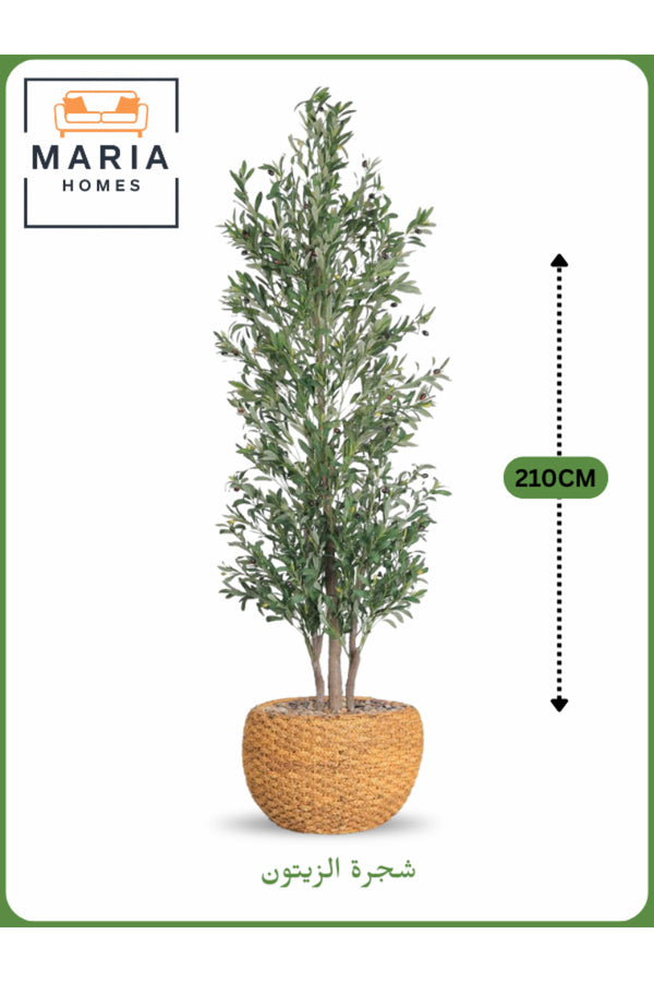 Artificial Olive Tree 210 CM with Yellow Decorative Pot Ð 3 Branches Indoor & Office Plant