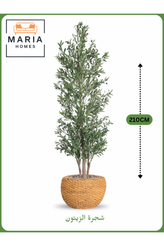 Artificial Olive Tree 210 CM with Yellow Decorative Pot Ð 3 Branches Indoor & Office Plant