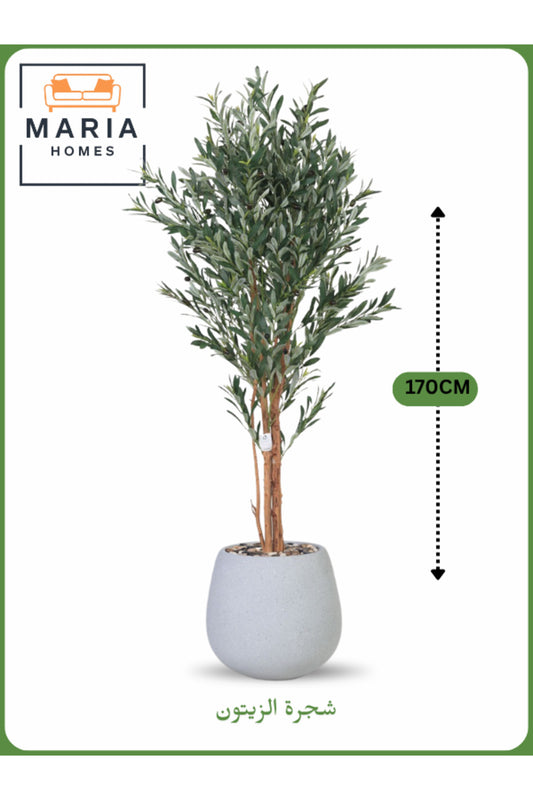 Artificial Olive Tree 170 cm Ð Decorative Indoor Tree with Gray Pot