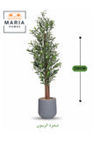 Artificial Olive Tree 155 cm Ð Indoor Decorative Plant with Gray Pot for Home & Office