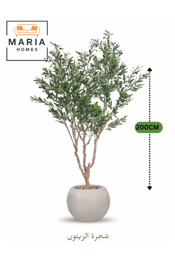 Artificial Olive Tree 200 cm Ð Green Foliage with Off-White Fiber Pot for home & office decor