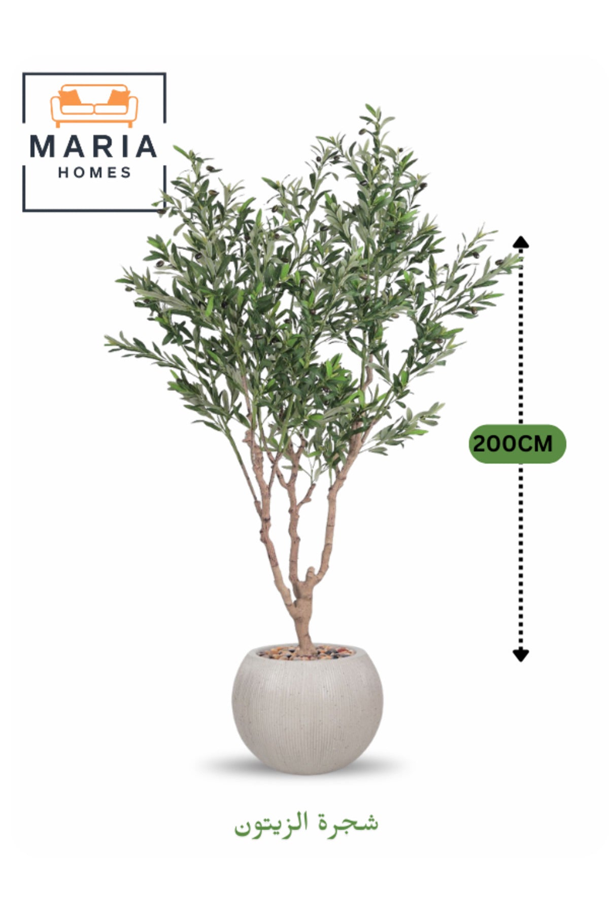 Artificial Olive Tree 200 cm Ð Green Foliage with Off-White Fiber Pot for home & office decor