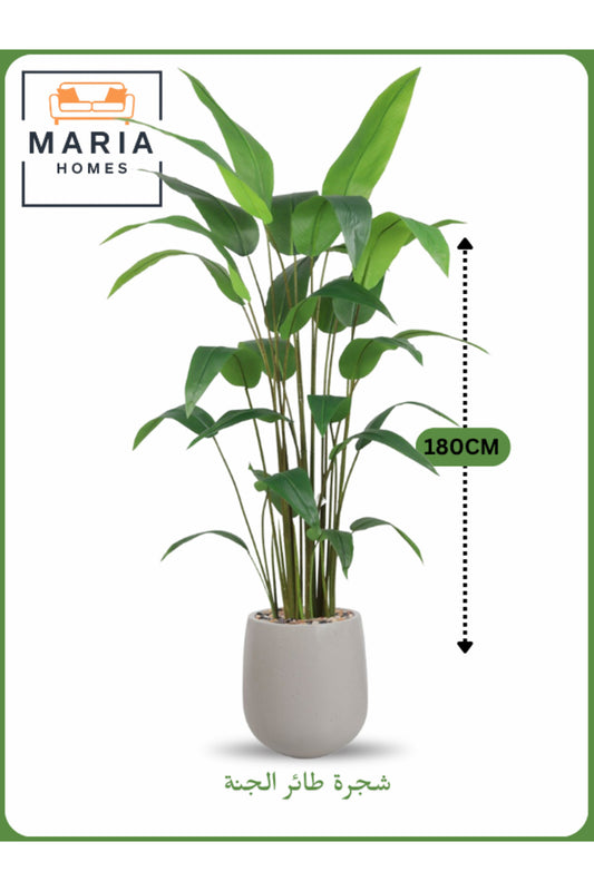 Artificial Bird of Paradise Tree 180 cm Ð Tall Indoor Plant with Beige Gray Pot
