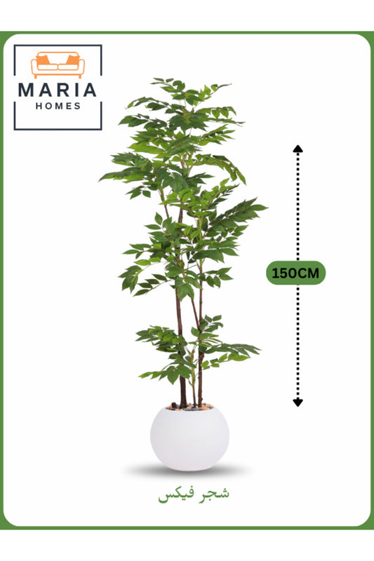 Artificial Ficus Tree 150 cm Ð Indoor Decorative Plant with White Pot