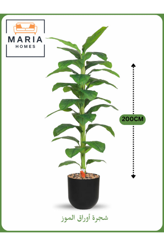 Artificial Banana Leaf Tree 200 cm Ð Tall Indoor Plant with Black Pot