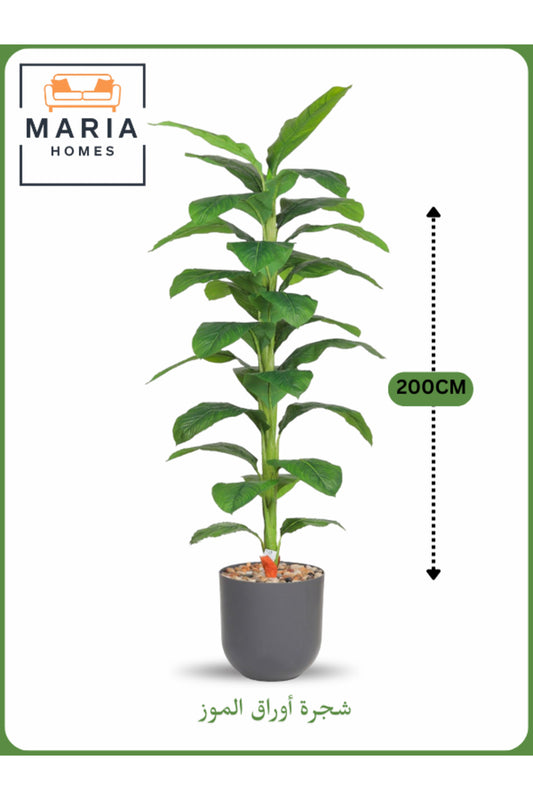 Artificial Banana Leaf Tree 200 cm Ð Tall Indoor Plant with Gray Pot