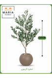 Artificial Olive Tree 130 cm Ð Indoor Decorative Plant with Brown Pot