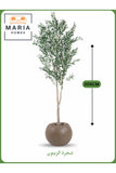 Artificial Olive Tree 205 cm Ð Tall Indoor Plant with Brown Plastic Pot