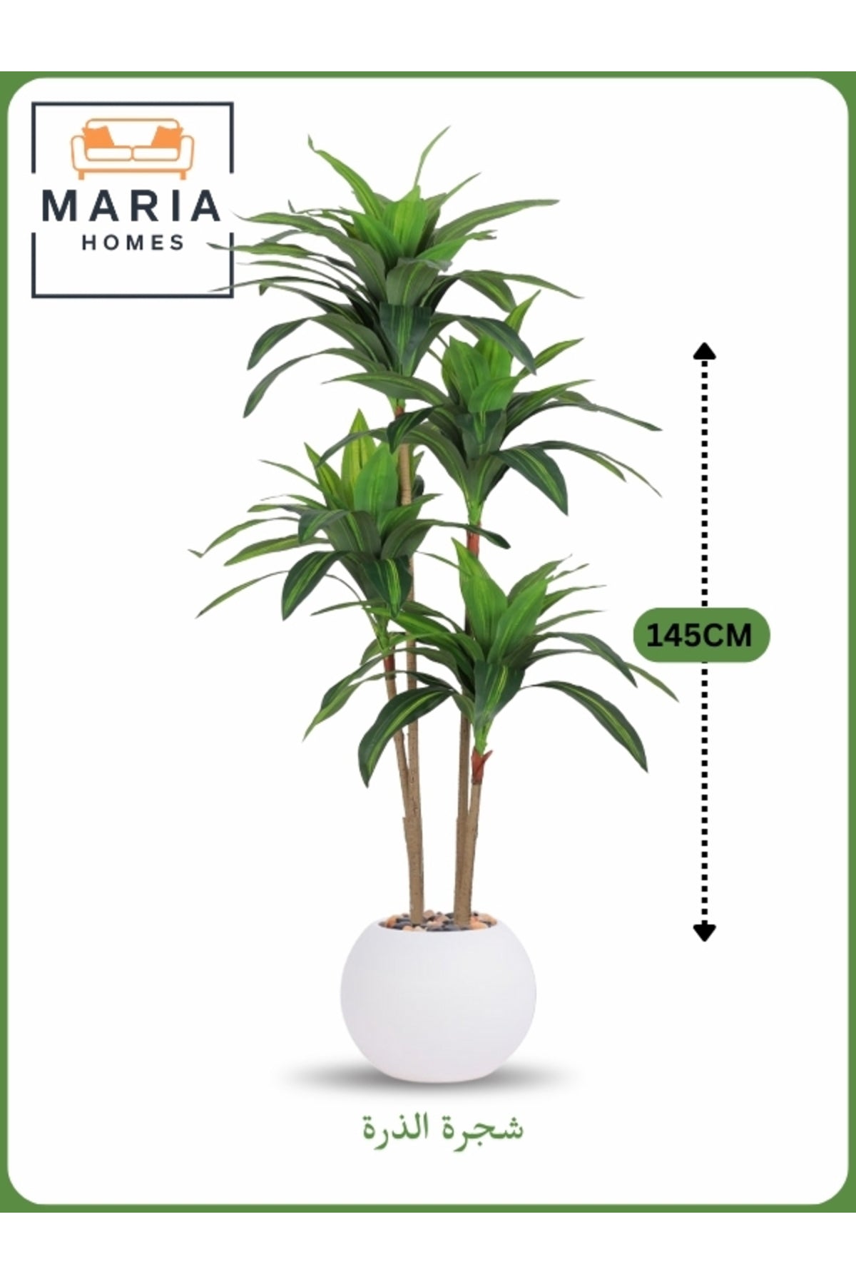 Artificial Corn Leaf Tree 145 cm Ð Indoor Faux Plant with white Pot