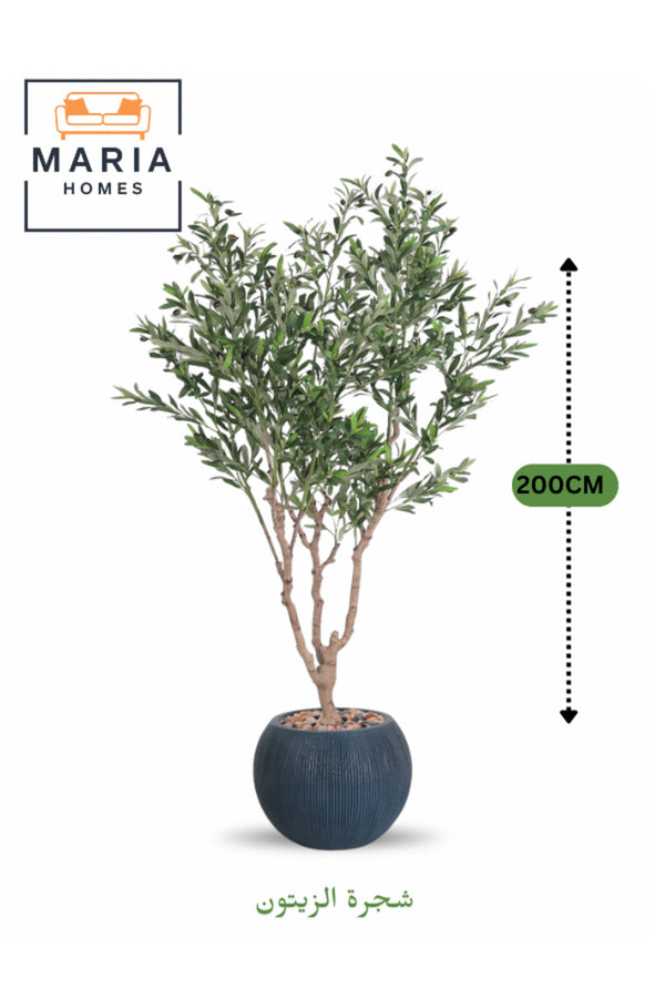 Artificial Olive Tree 200 cm Ð Decorative Indoor Plant with Blue Fiber Pot for Home & Office decor