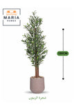 Artificial Olive Tree 155 cm Ð Indoor Decorative Plant with Pot for Home & Office
