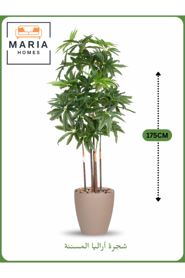 Artificial Aralia Tree 175 cm Ð 5 Branches in Brown Plastic Pot No reviews yet.