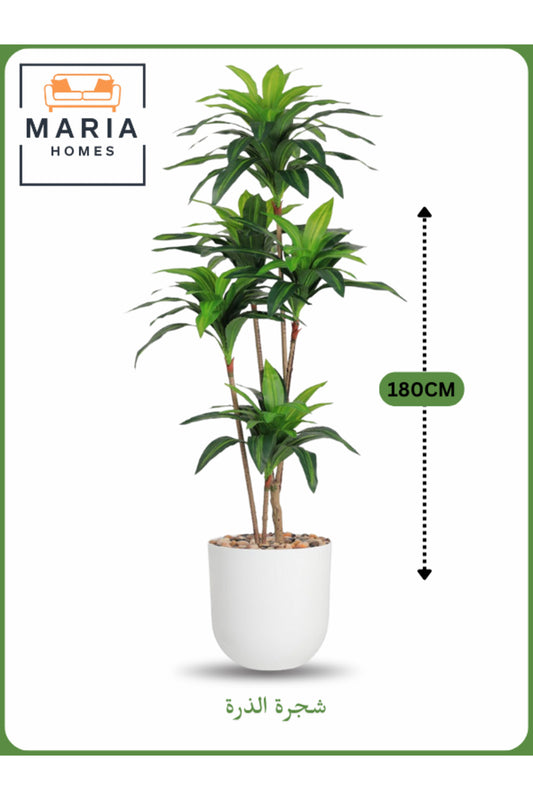 Artificial Corn Leaf Tree 180 cm Ð Indoor Faux Plant with White Pot