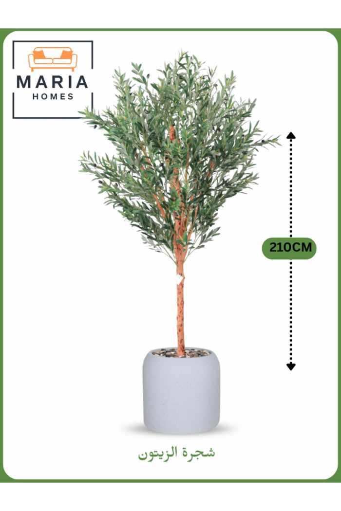 Artificial Olive Tree 210 cm Ð Tall Decorative Tree in Gray Pot