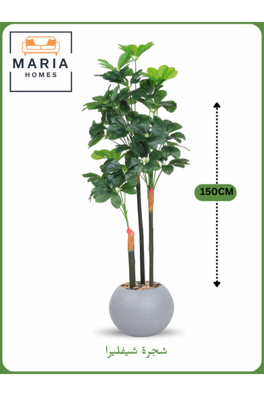 Artificial Schefflera Tree 150 cm Ð Decorative Indoor Plant with Light Gray Pot