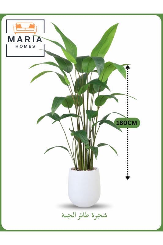 Artificial Bird of Paradise Tree 180 cm Ð Tall Indoor Plant with White Pot