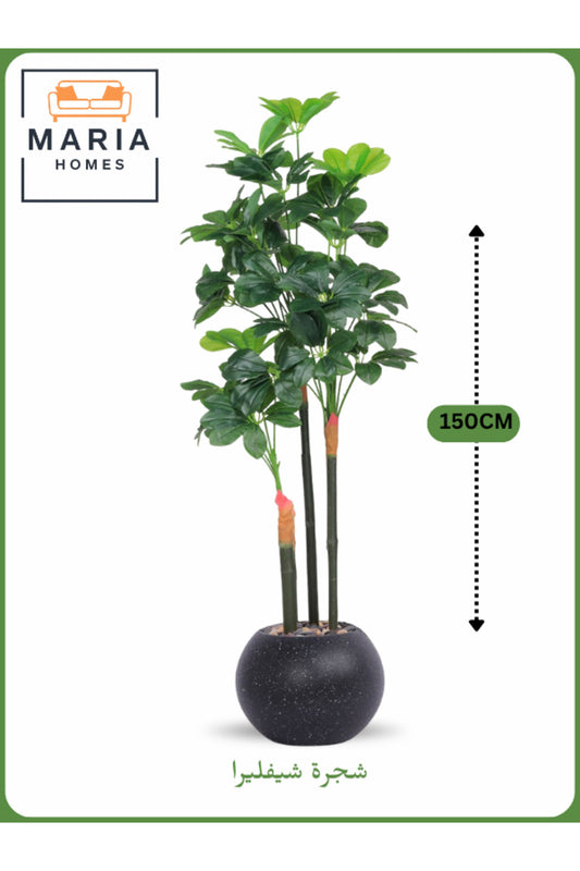 Artificial Schefflera Tree 150 cm Ð Decorative Indoor Plant Black with silver Pot
