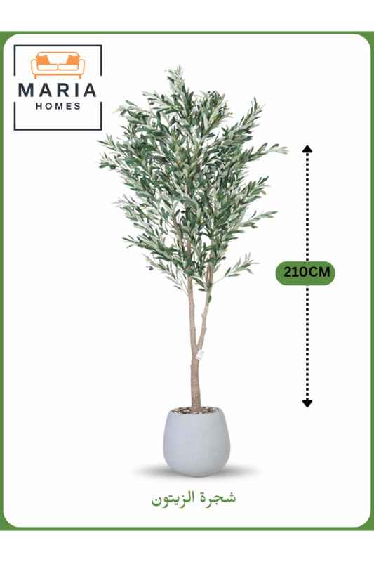 Artificial Olive Tree 210 cm Ð Tall Decorative Indoor Tree with Gray Pot