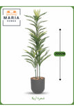 Artificial Areca Palm Tree 200 cm Ð Tall Decorative Indoor Plant with Gray Pot