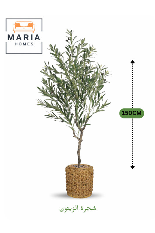 Artificial Olive Tree 150 cm Ð Tall Decorative Plant with Woven Basket Pot for home & office