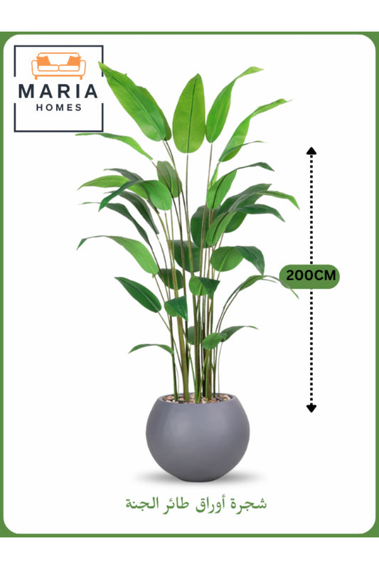 Artificial Bird of Paradise Tree 200 cm Ð Decorative Indoor Plant with Gray Pot