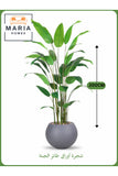 Artificial Bird of Paradise Tree 200 cm Ð Decorative Indoor Plant with Gray Pot