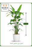 Artificial Bird of Paradise Tree 180 cm Ð Tall Indoor Plant with White Pot