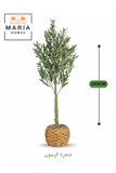 Artificial Olive Tree 150 cm Ð Tall Decorative Green Plant with Woven Basket Pot for home & office