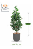 Artificial Lemon Leaf Tree 165 cm Ð Green Foliage in Grey Plastic Pot for home decor