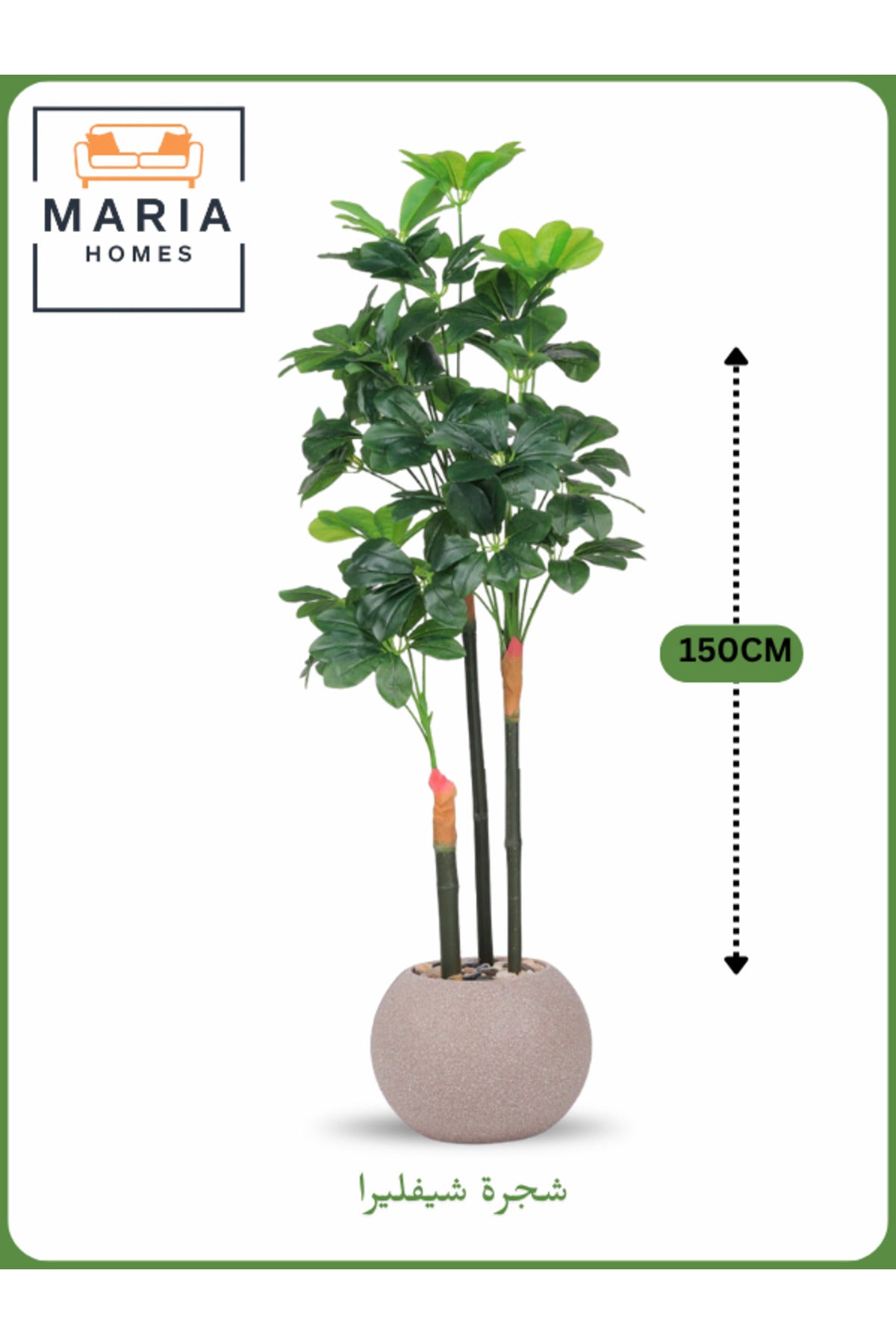 Artificial Schefflera Tree 150 cm Ð Decorative Indoor Plant with Beige Pot