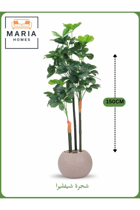 Artificial Schefflera Tree 150 cm Ð Decorative Indoor Plant with Beige Pot