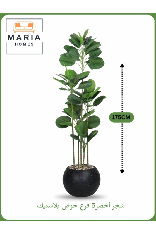 Artificial Decorative Plant Ð 175 cm Tall with Black Pot