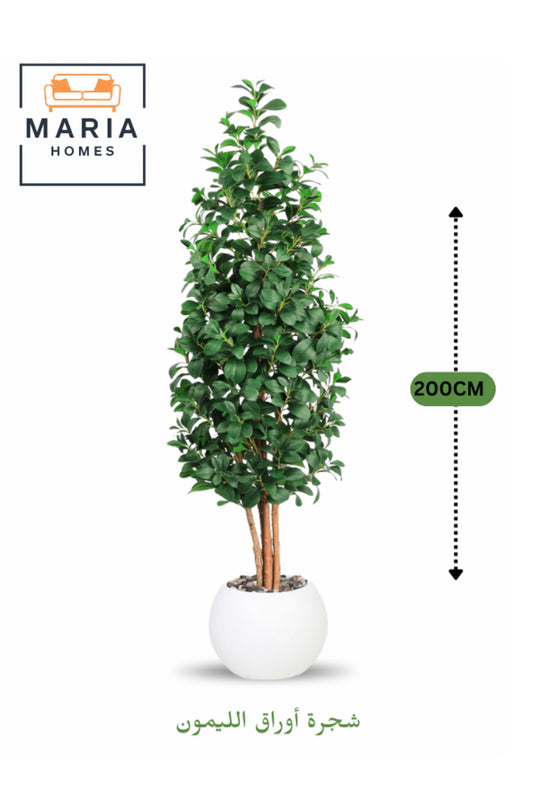 Artificial Lemon Leaf Tree 200 cm Green Foliage in White Plastic Pot for home decor