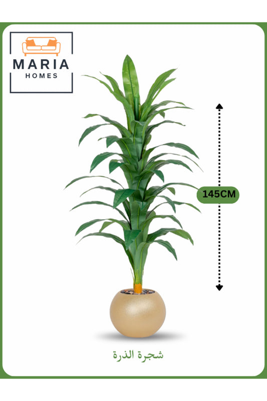 Artificial Corn Leaf Tree 145 cm Ð Decorative Indoor Plant with Gold Pot